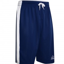 Larry Reversible Basketball Shorts | Inspired Sports Solutions Ltd